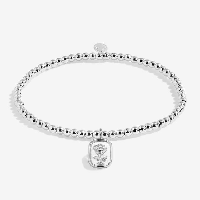 A Little You Are All Kinds Of Wonderful Charm Bracelet Close Up