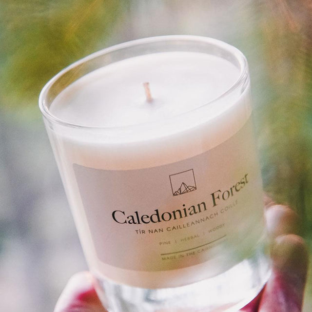 Caledonian Forest Candle Jar with Gift Box