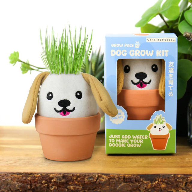 Grow Pals Dog Grow Kit Set