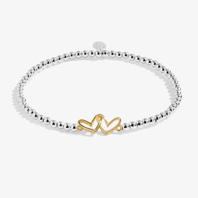 Joma Jewellery A Wee Ma Wee Pal Silver and Gold Charm Bracelet Close Up