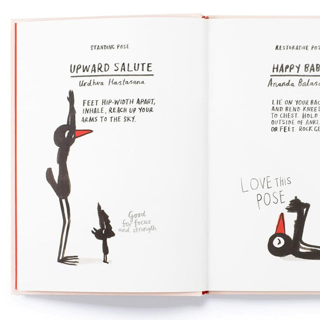 Yoga For Stiff Birds Book