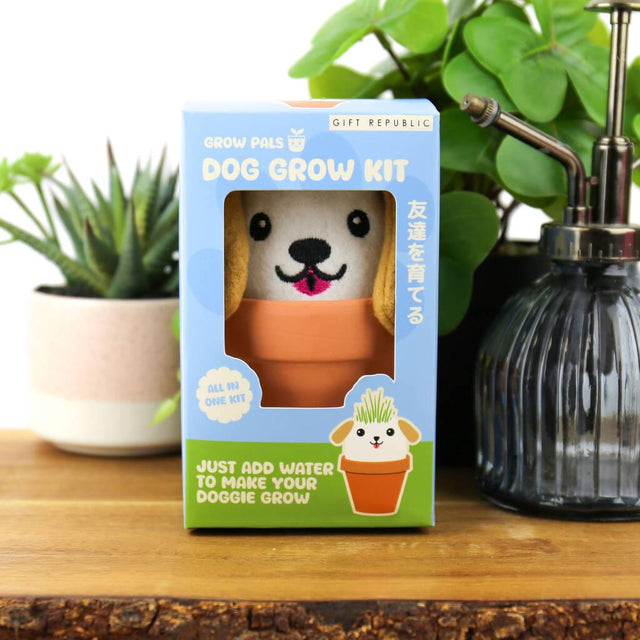 Grow Pals Dog Grow Kit Gift Box