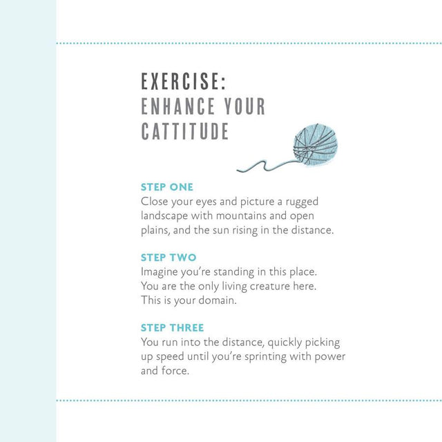 Be More Cat Book Excercise