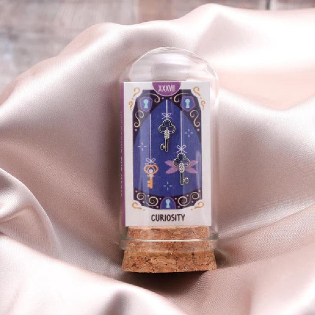 Curiosity Crystal Key Earrings in Silver