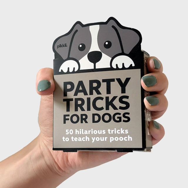 Party Tricks for Dogs