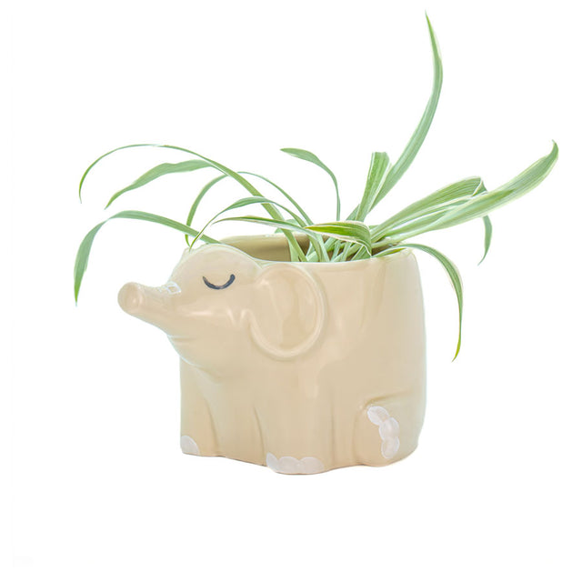 Elephant Mini Planter