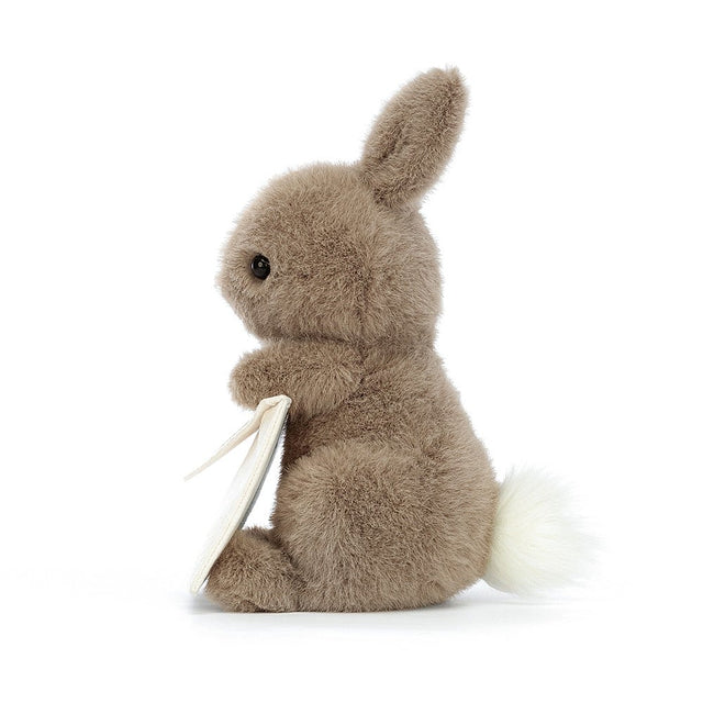 Messenger Bunny Soft Toy