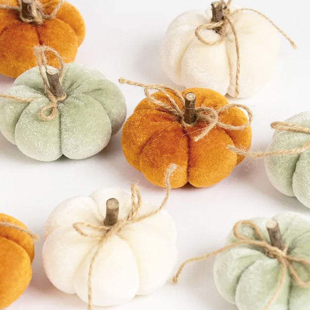 Harvest Pumpkin Velvet Box Set