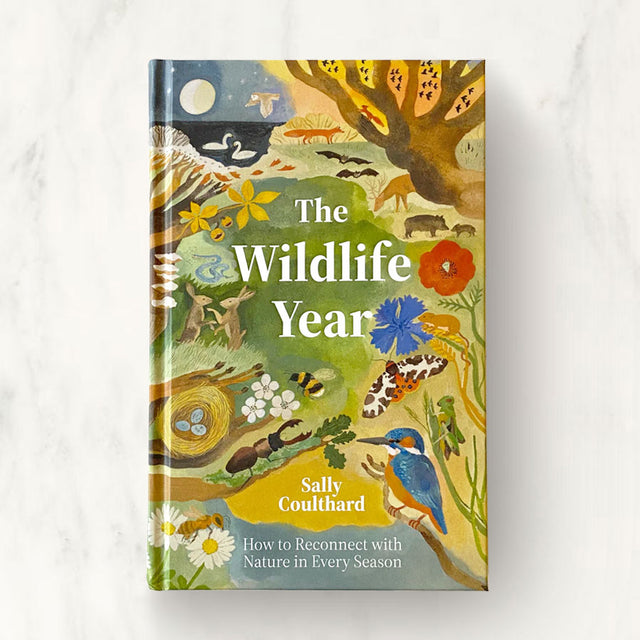 Wildlife Year: How to Reconnect with Nature