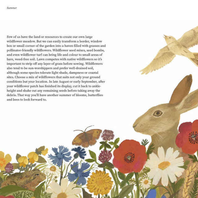 Wildlife Year: How to Reconnect with Nature Close Up