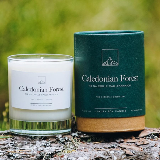 Caledonian Forest Candle Jar with Gift Box