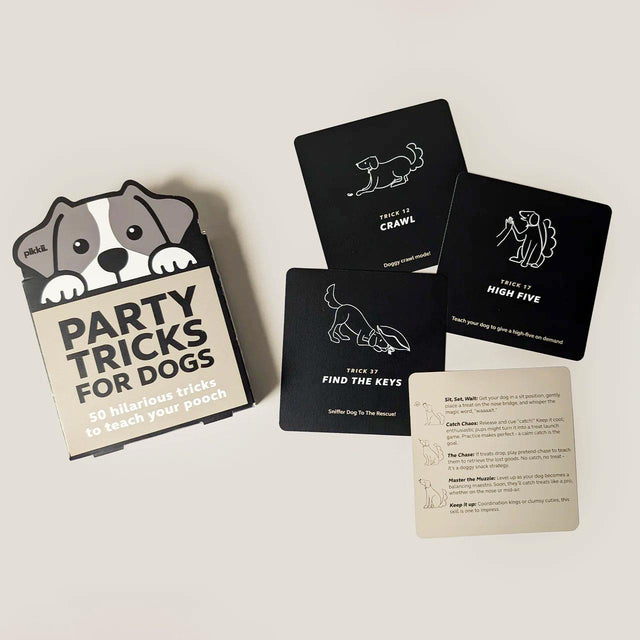 Party Tricks for Dogs