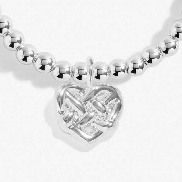 Joma Jewellery A Little Friendship is a Knot That Cannot Be Untied Charm Bracelet Close Up