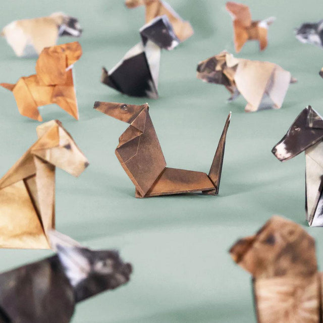 Paper Origami Pups Close Up