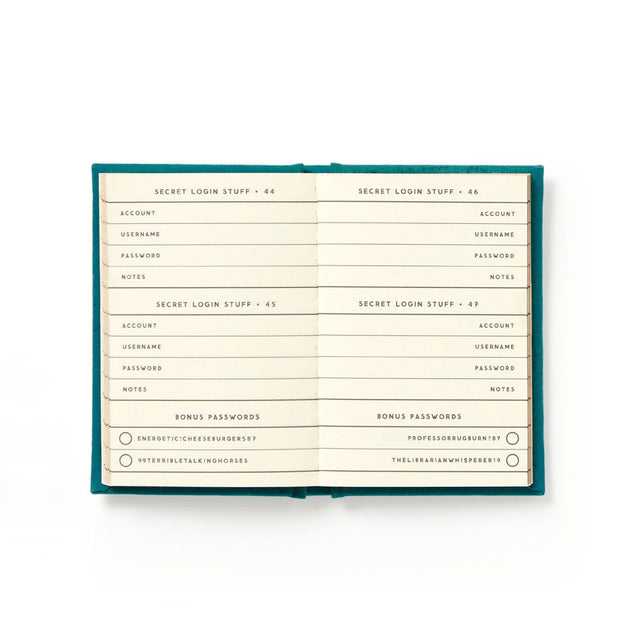 Definitely Not My Passwords: Mini Password Diary Close Up