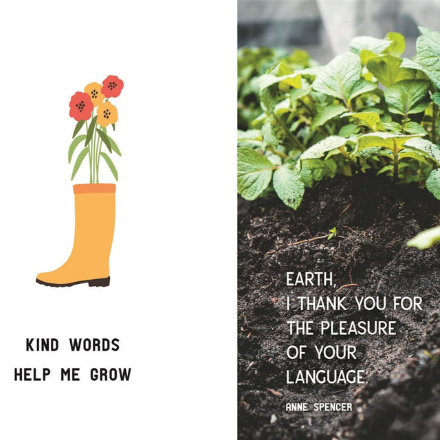 My Tiny Kitchen Garden Book