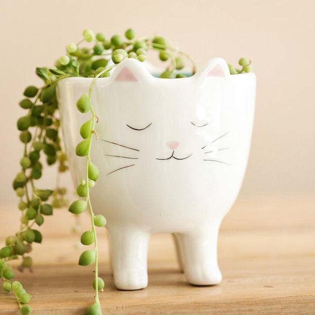 Standing Cat Ceramic Planter