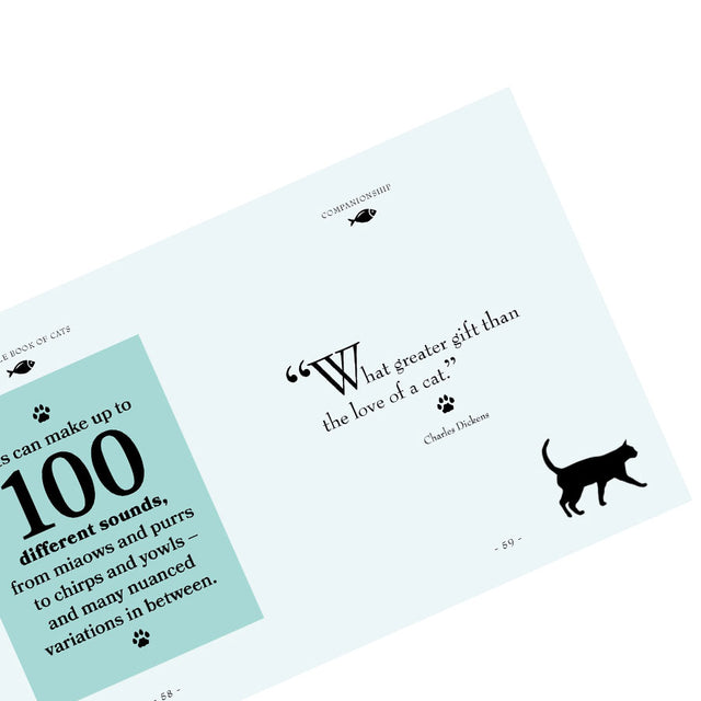 Little Book Of Cats