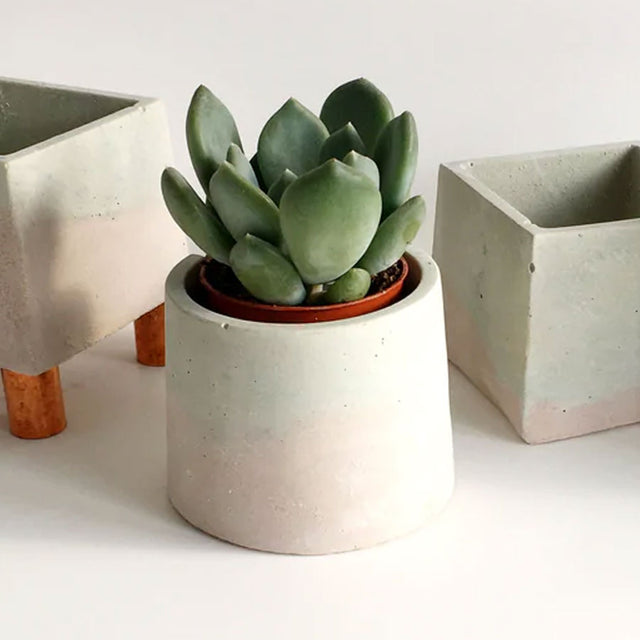 Small Round Flat Concrete Plant Pot - Assorted Designs