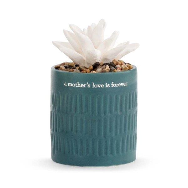 A Mother's Love Succulent Ceramic Oil Diffuser