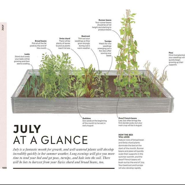 Veg in One Bed Gardening Book