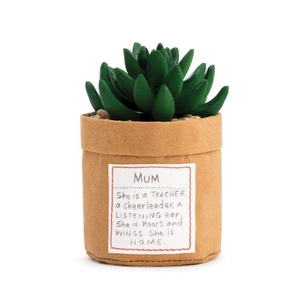 Mum Plant Kindness Succulent Decoration