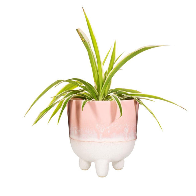 Pink Mojave Glaze Planter