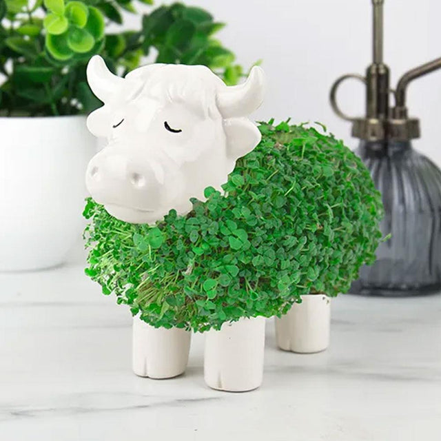 Highland Cow Chia Planter