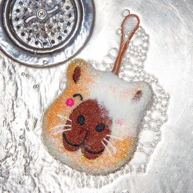 Capybara Sponges Set