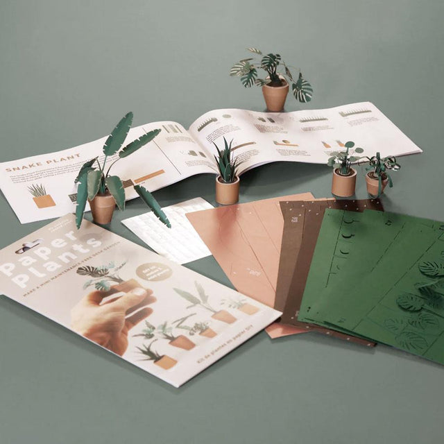 Mini Paper Plants Kraft Kit with Booklet and Paper Samples