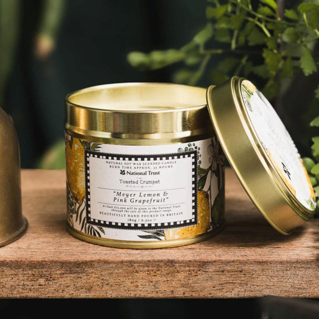 Meyer Lemon & Pink Grapefruit Tin Candle