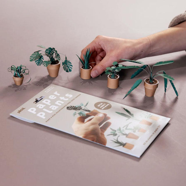 Mini Paper Plants Kraft Kit with Plants