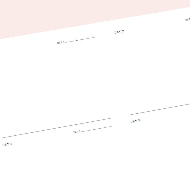 One Sketch A Day: Visual Journal