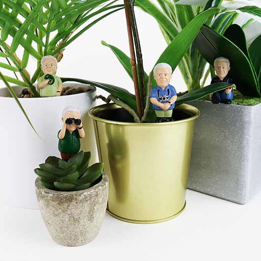 Mini Plant Pot Attenborough Explorers Plant Markers
