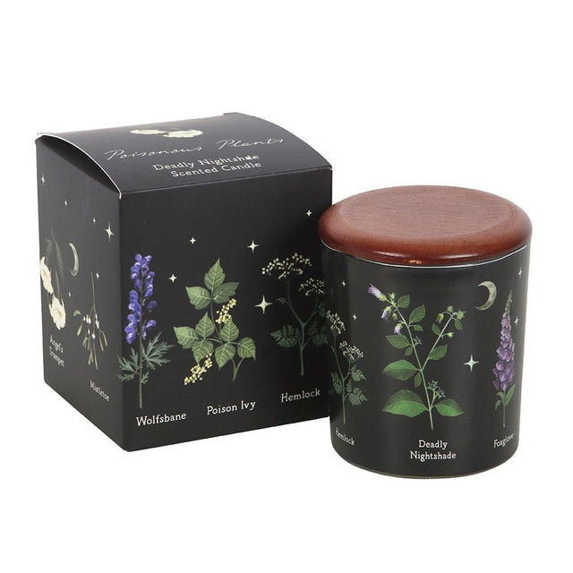 Poisonous Plants Deadly Nightshade Scented Candle Close Up