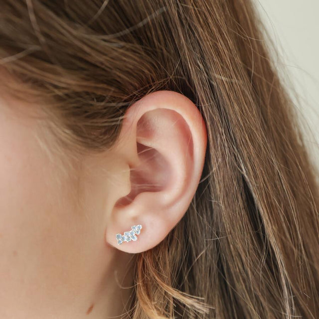 Forget Me Not Flower Earrings in Blue and Silver