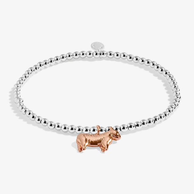 A Wee Och Aye The Moo Charm Bracelet Close Up