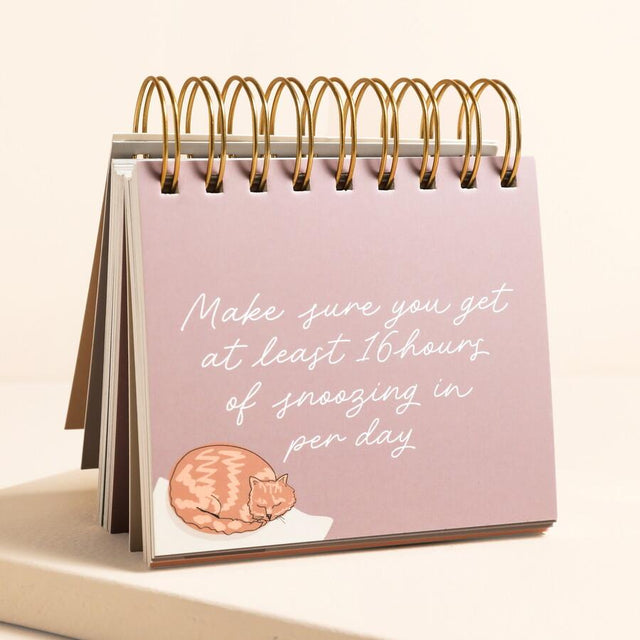 Be More Cat Desktop Flip Chart