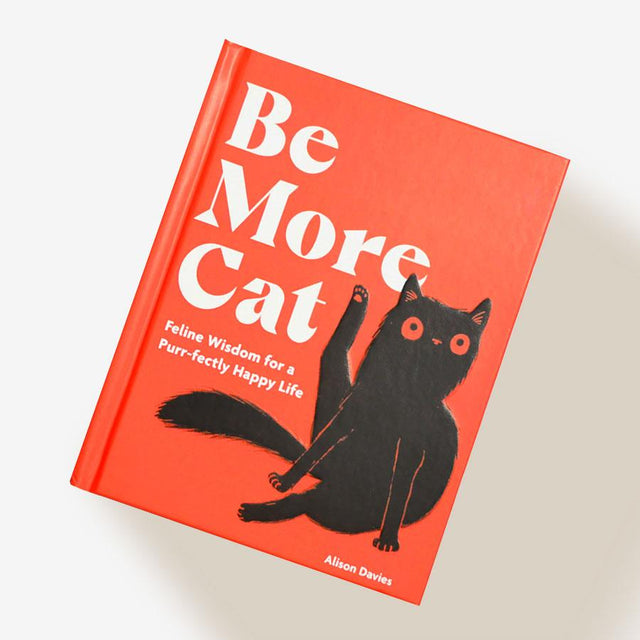 Be More Cat Book