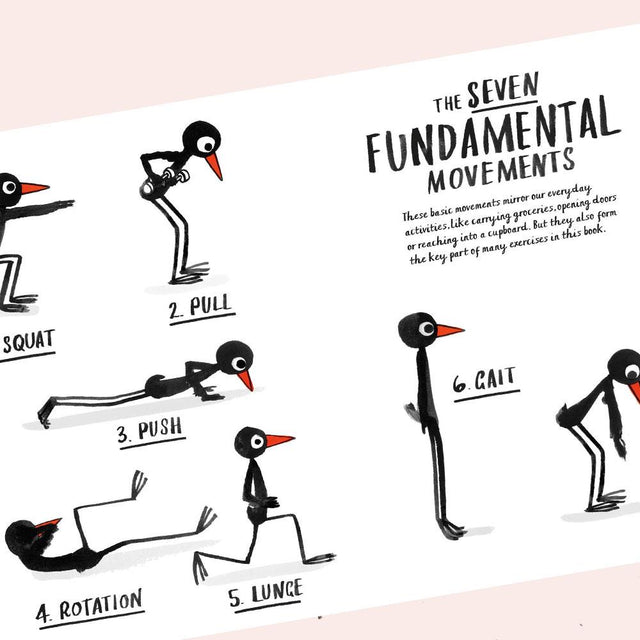How To Be A Fit Bird Book
