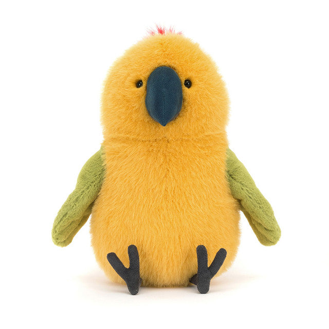 Budgeby Parrot Front View
