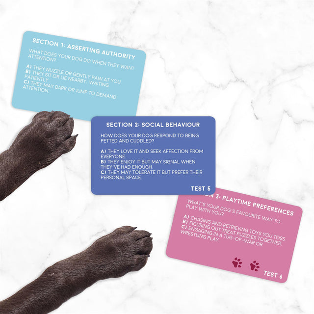 Dog Personality Test Cards 3