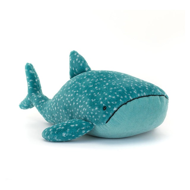 Gobfrey Whale Shark Front view
