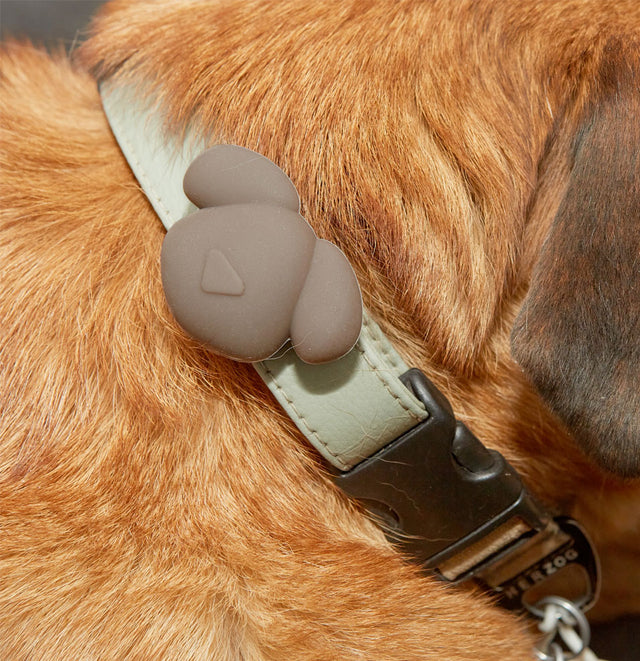 Kobe-Tag for Dog Collar