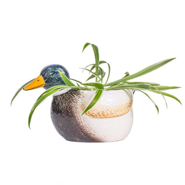 Mallard Duck Mini Planter