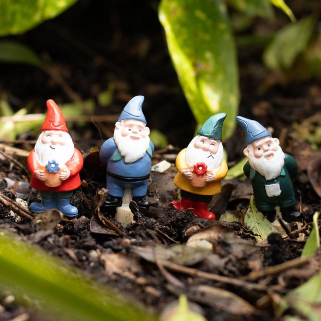 Mini Gnome Plant Pot Pals Set 1