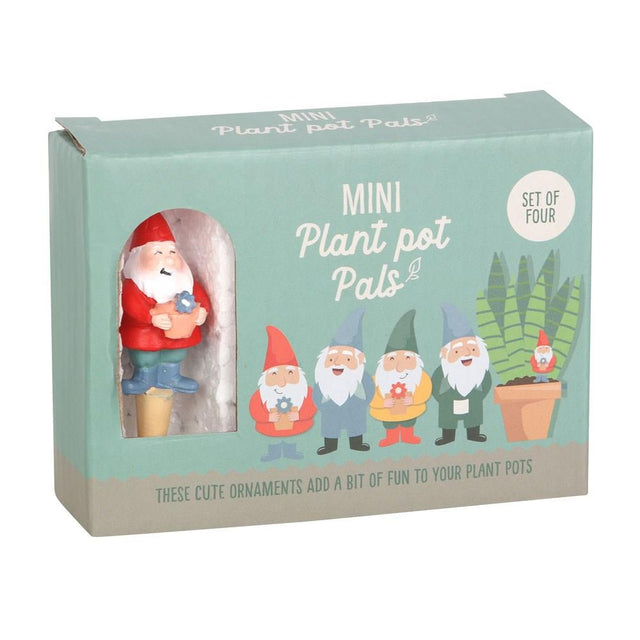 Mini Gnome Plant Pot Pals Set 2