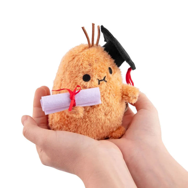 Noodoll Ricespud Graduate Plush Toy