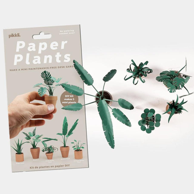 Mini Paper Plants Kraft Kit with Close Up of Plants