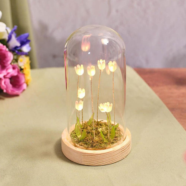Tulip Glass Dome With LED Lights